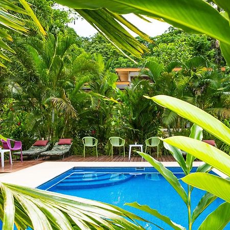 La Paz Del Caribe Adults Only Bed & Breakfast Puerto Viejo de Talamanca Exterior photo
