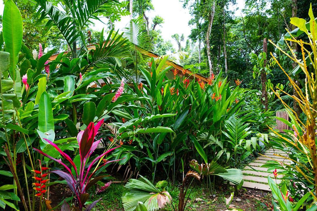 La Paz Del Caribe Adults Only Bed & Breakfast Puerto Viejo de Talamanca Exterior photo
