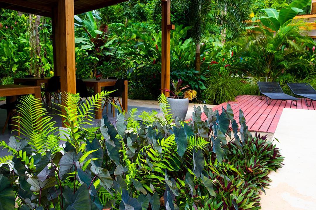 La Paz Del Caribe Adults Only Bed & Breakfast Puerto Viejo de Talamanca Exterior photo