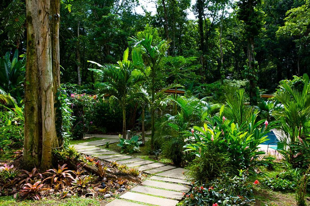 La Paz Del Caribe Adults Only Bed & Breakfast Puerto Viejo de Talamanca Exterior photo
