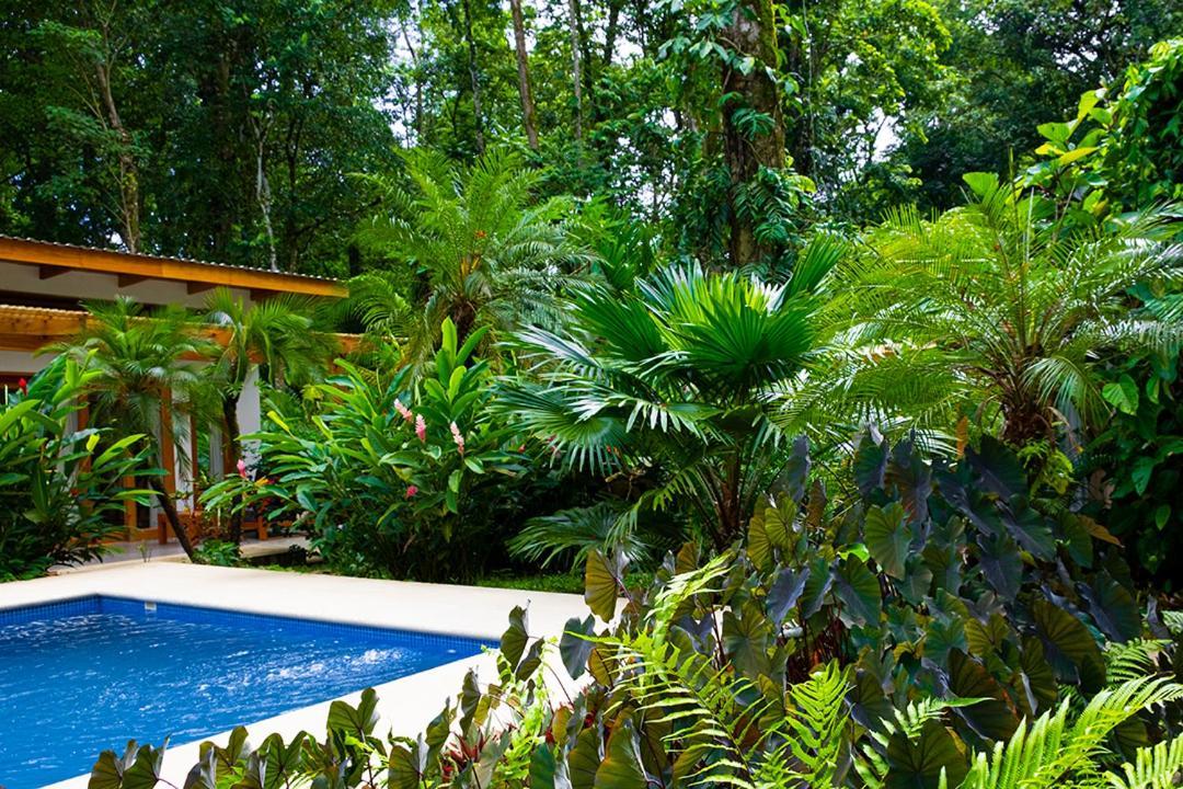 La Paz Del Caribe Adults Only Bed & Breakfast Puerto Viejo de Talamanca Exterior photo