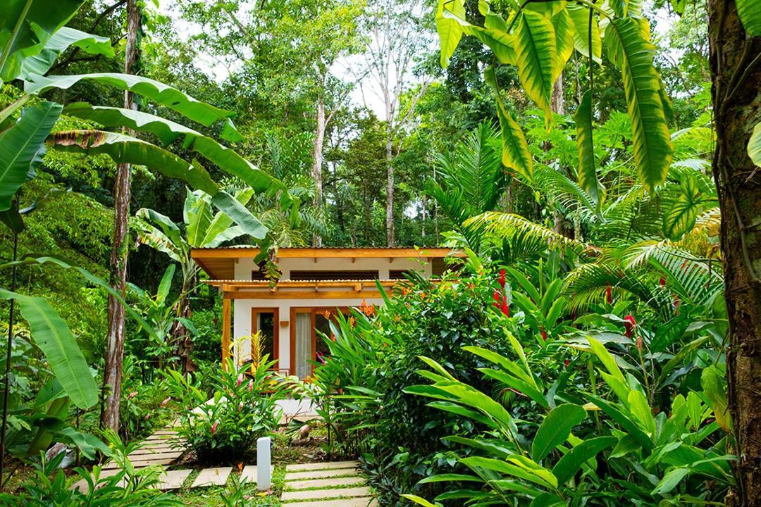 La Paz Del Caribe Adults Only Bed & Breakfast Puerto Viejo de Talamanca Exterior photo