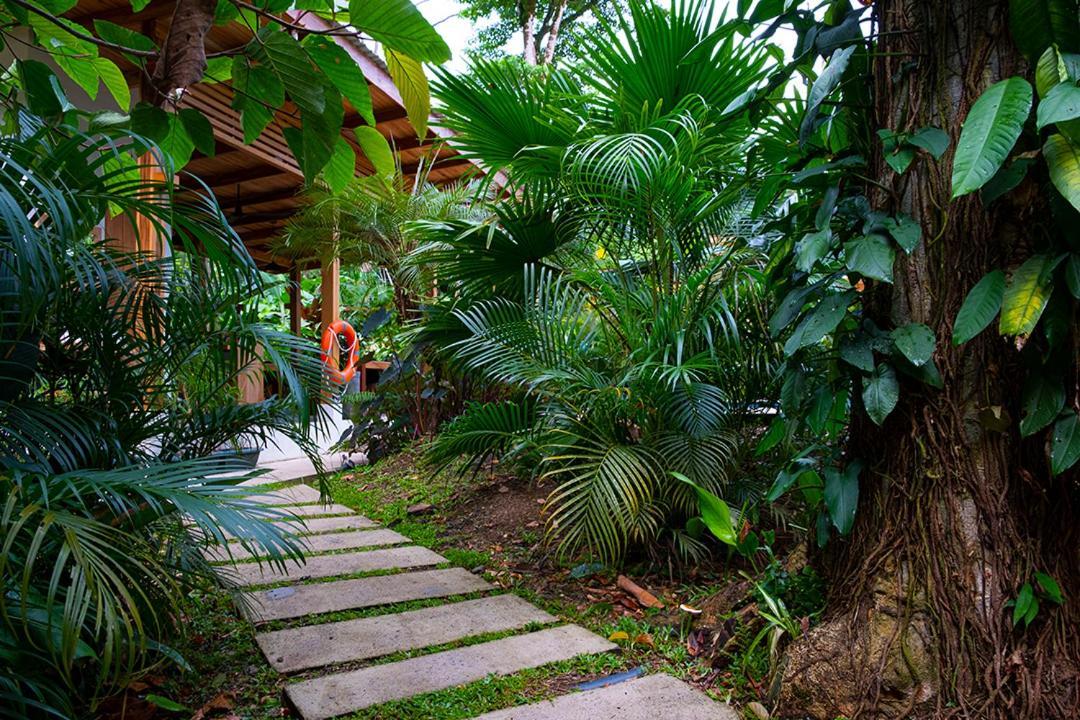 La Paz Del Caribe Adults Only Bed & Breakfast Puerto Viejo de Talamanca Exterior photo