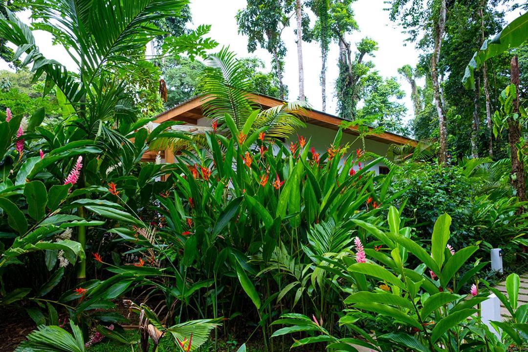 La Paz Del Caribe Adults Only Bed & Breakfast Puerto Viejo de Talamanca Exterior photo