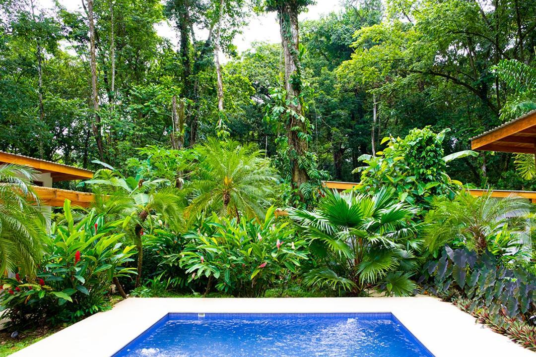 La Paz Del Caribe Adults Only Bed & Breakfast Puerto Viejo de Talamanca Exterior photo
