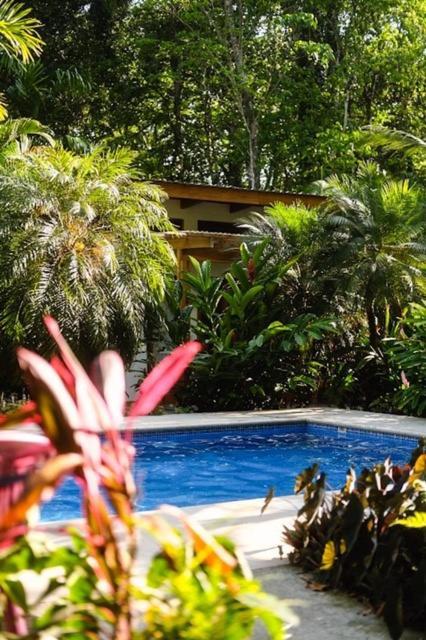 La Paz Del Caribe Adults Only Bed & Breakfast Puerto Viejo de Talamanca Exterior photo