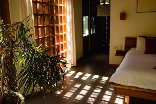 La Paz Del Caribe Adults Only Bed & Breakfast Puerto Viejo de Talamanca Exterior photo