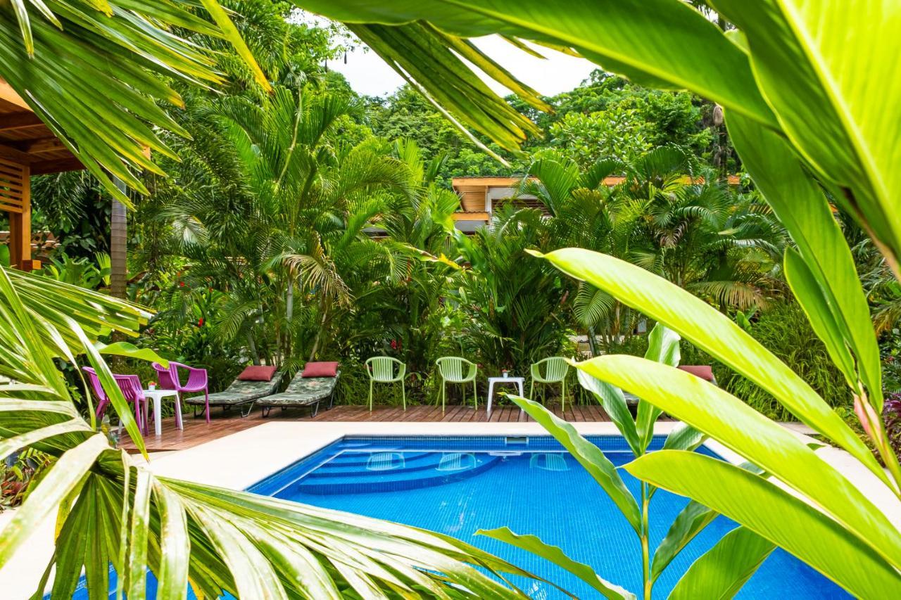 La Paz Del Caribe Adults Only Bed & Breakfast Puerto Viejo de Talamanca Exterior photo