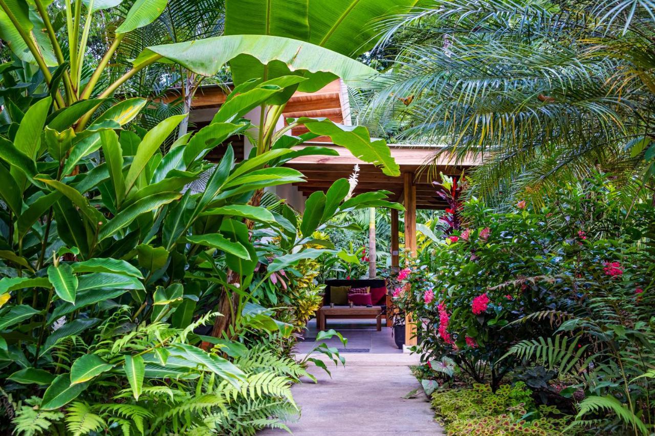 La Paz Del Caribe Adults Only Bed & Breakfast Puerto Viejo de Talamanca Exterior photo