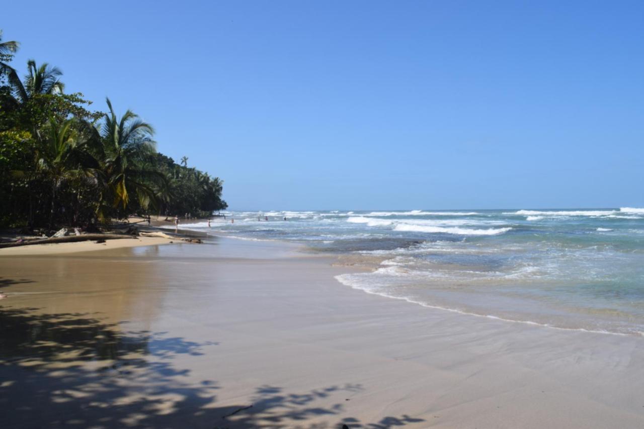 La Paz Del Caribe Adults Only Bed & Breakfast Puerto Viejo de Talamanca Exterior photo
